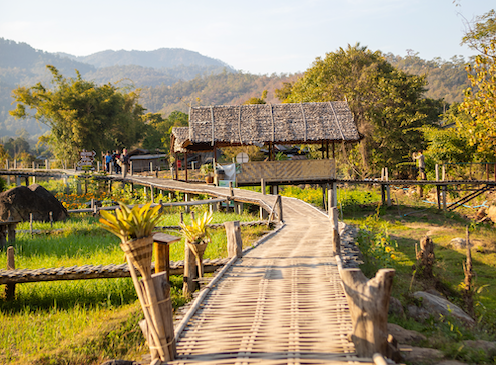 Bamboo Bridge Pai