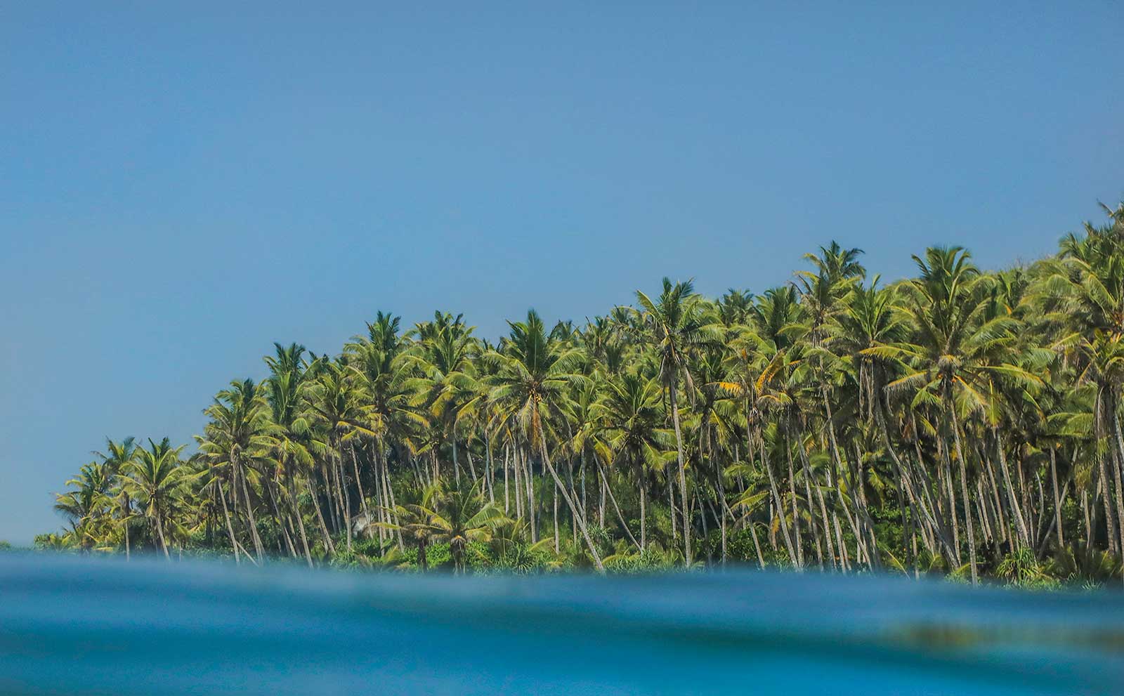 15 of the Best Beaches in Sri Lanka