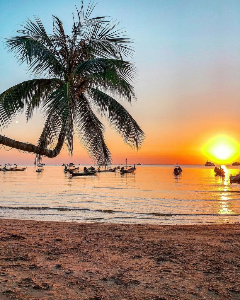 A sunset view of a beach in Thailand with long tail boats and a palm tree