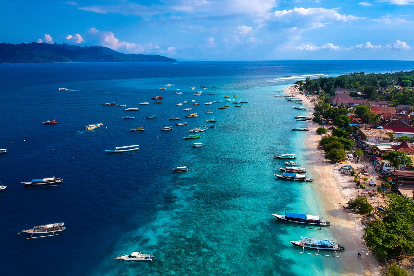 21 Best Things To Do In Bali 2025 Feel Free Travel Blog 21 best things to do in bali 2025 feel free travel blog