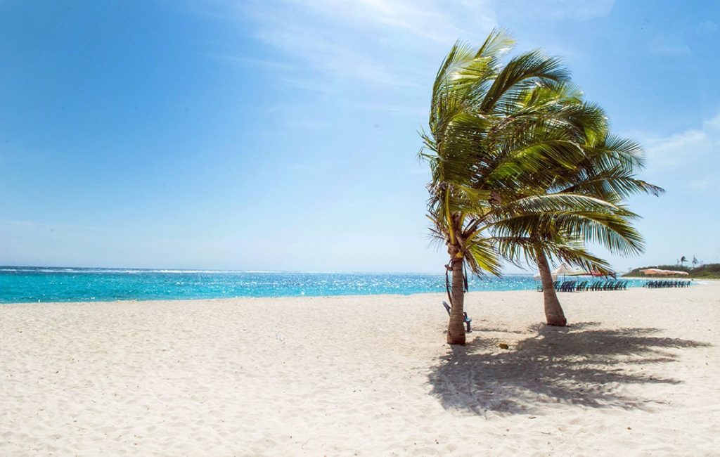 A lone palm tree stands on a white sandy beach with clear turquoise waters and a bright blue sky, conveying a serene tropical scene.

