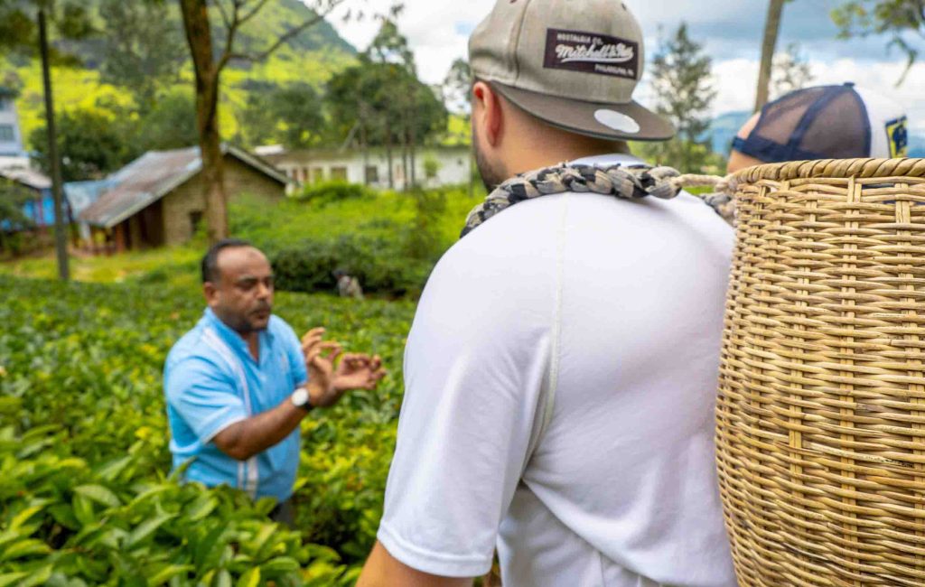 A visitor learning about tea cultivation from a local expert amidst the lush greenery of a tea plantation