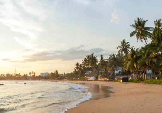 A tranquil beach scene at sunset with palm trees silhouetted against a pastel-colored sky, and gentle waves lapping the shore.

