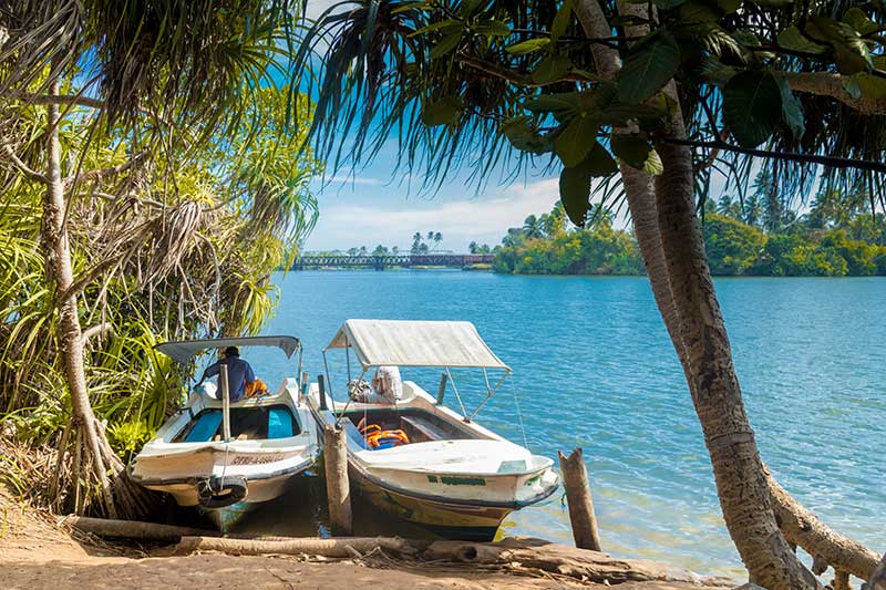 Two boats are moored beside a tranquil riverbank, shaded by overhanging palm trees with a bridge visible in the distance.