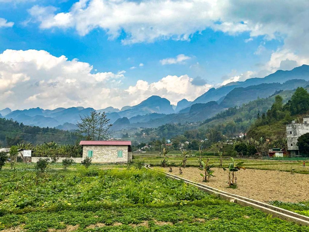 Vast terraced rice fields stretch across the mountainous landscape of the Ha Giang Loop, with shades of green blending into yellow as the crops mature. The layers of fields create a stair-step effect, leading up to towering hills under a cloudy sky.