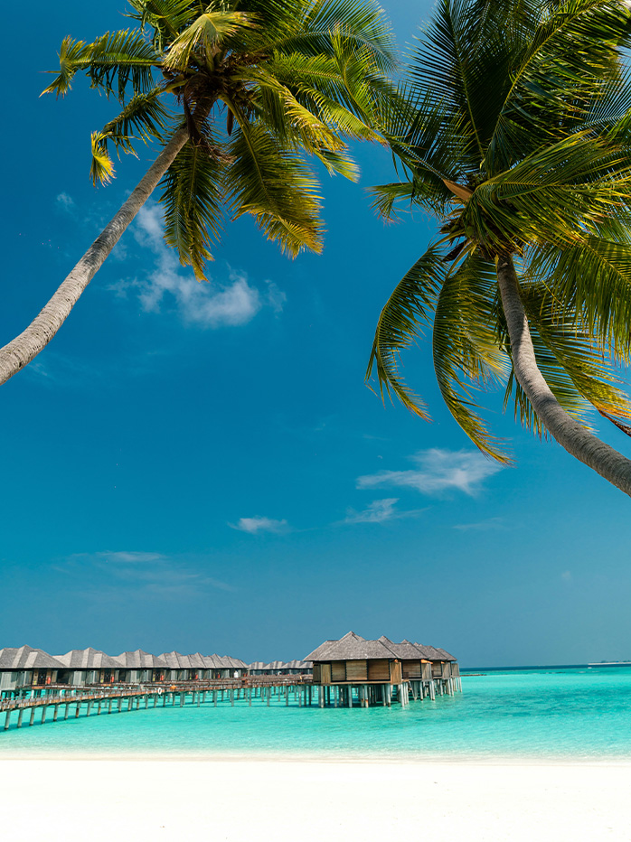 Overwater bungalows framed by palm trees on a white sandy beach in the Maldives.

