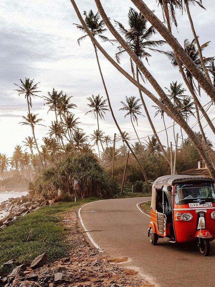 A red tuk-tuk driving along a scenic coastal road lined with tall palm trees in Sri Lanka.


