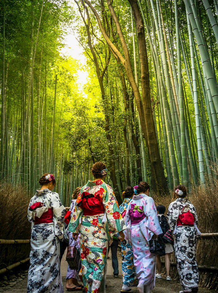 Tourists in colorful kimonos walk through the Arashiyama Bamboo Grove in Kyoto.