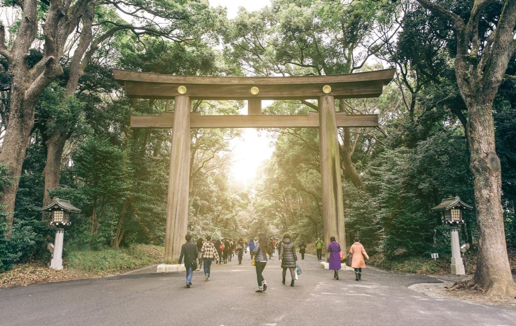 Visitors walk under a massive wooden torii gate at Meiji Shrine in Tokyo surrounded by tall trees.