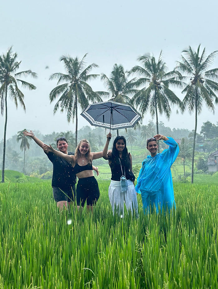Four friends stand in a lush rice field during the rain, holding an umbrella and smiling.