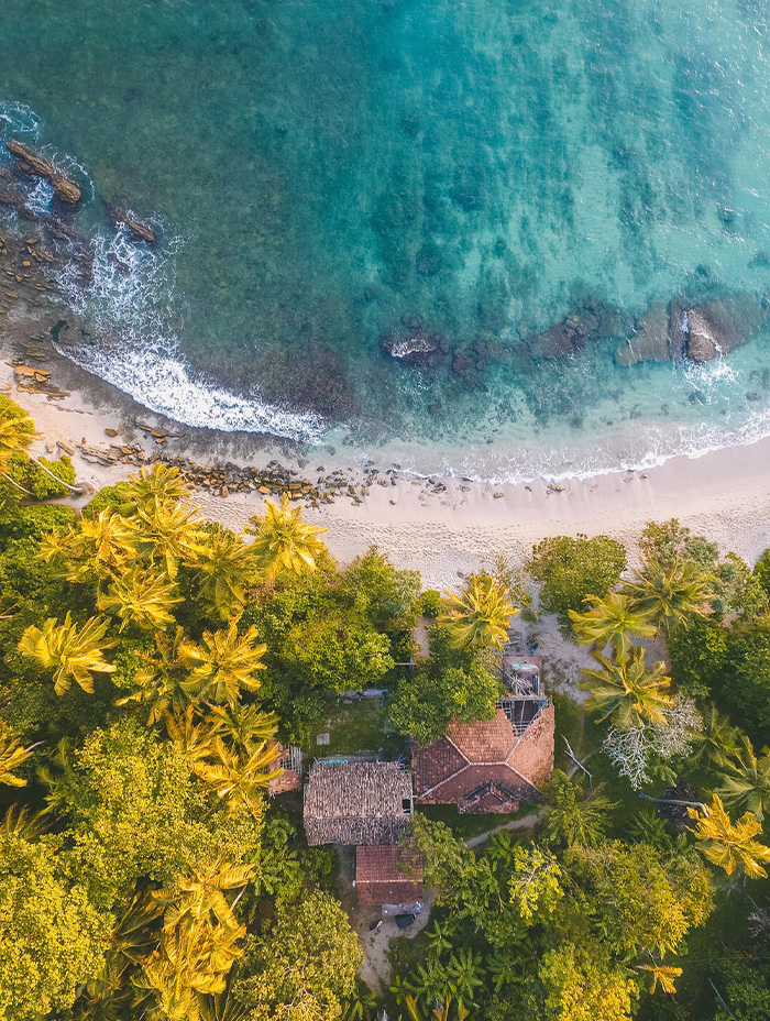 Aerial view of a tropical beach with turquoise water and palm trees.