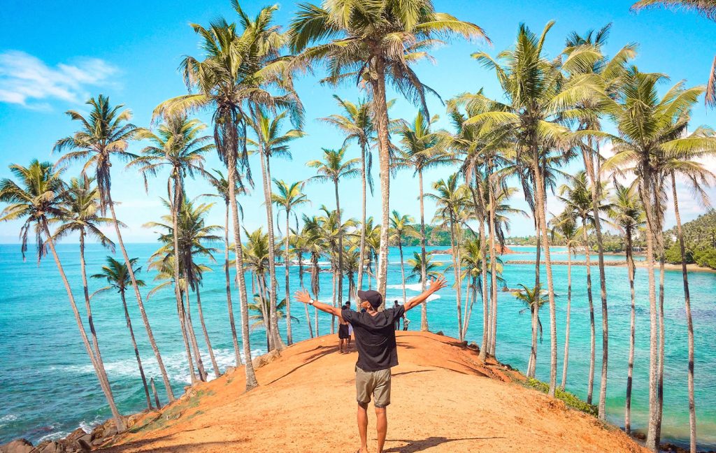 A person stands with arms raised among tall palm trees overlooking turquoise ocean waters.