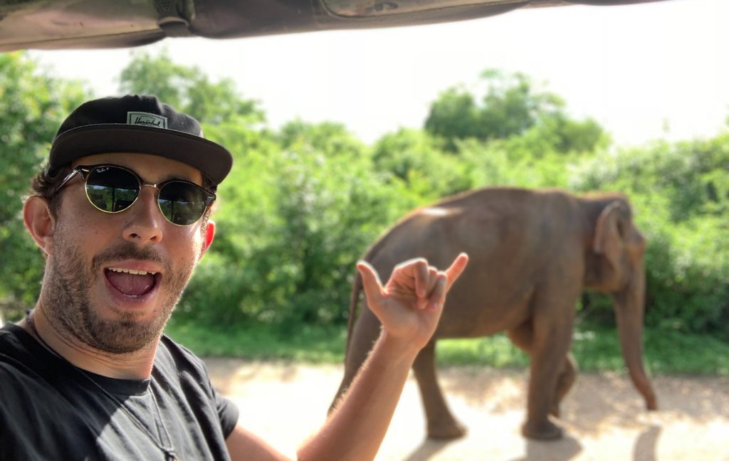 A man in sunglasses smiles while pointing at an elephant in the wild.